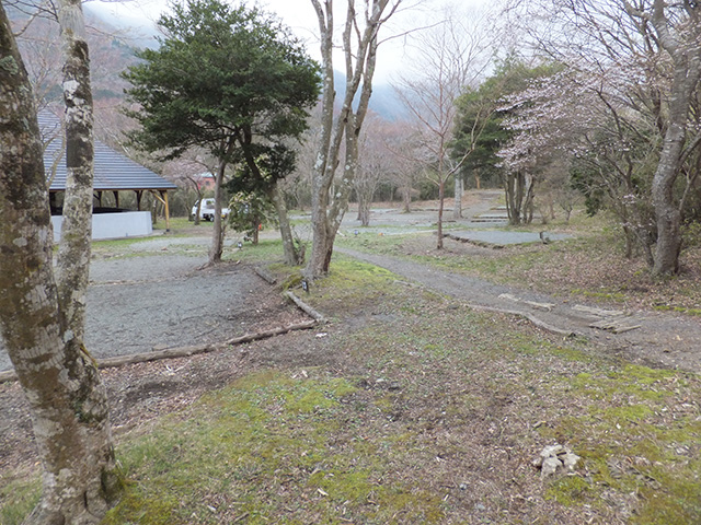 芦ノ湖キャンプ村テントサイト