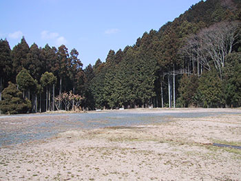 名阪森林パークキャンプ場